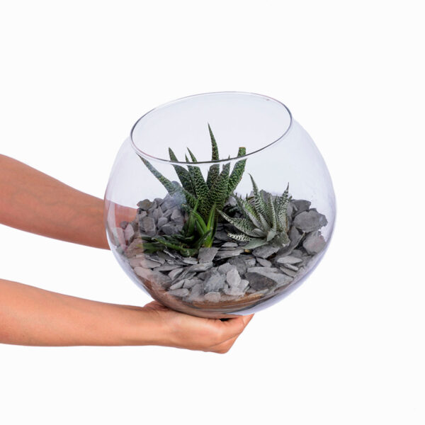 Terrarium rond