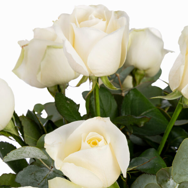 Bouquet roses blanches